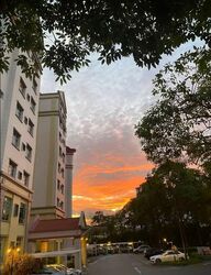 Azalea Park Condominium (D17), Condominium #566234491